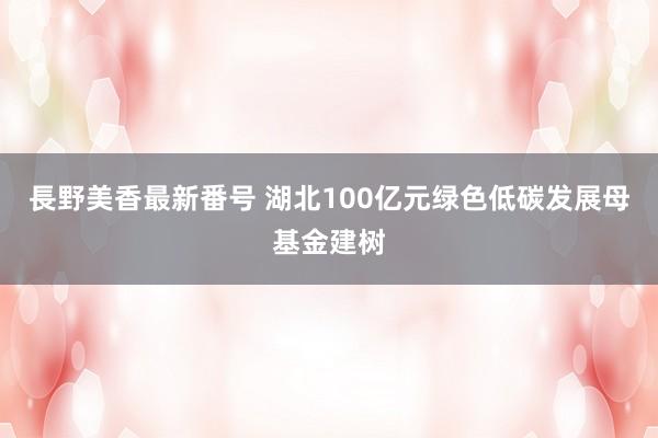 長野美香最新番号 湖北100亿元绿色低碳发展母基金建树