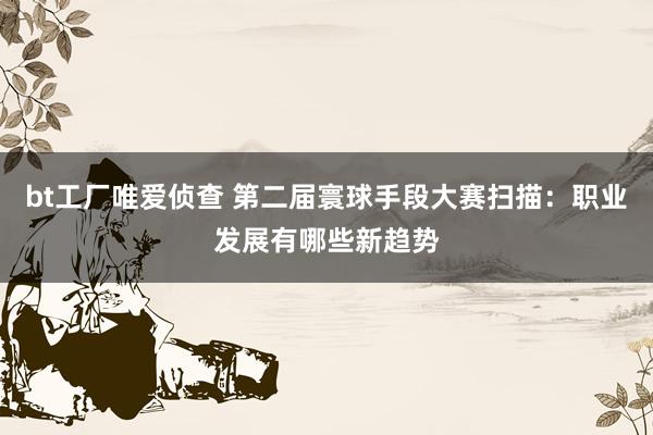 bt工厂唯爱侦查 第二届寰球手段大赛扫描：职业发展有哪些新趋势