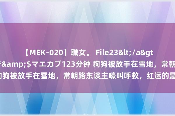 【MEK-020】職女。 File23</a>2011-05-20プレステージ&$マエカブ123分钟 狗狗被放手在雪地，常朝路东谈主嚎叫呼救，红运的是际遇了她