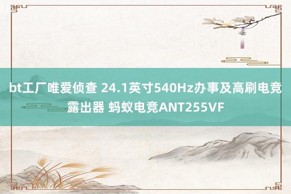 bt工厂唯爱侦查 24.1英寸540Hz办事及高刷电竞露出器 蚂蚁电竞ANT255VF