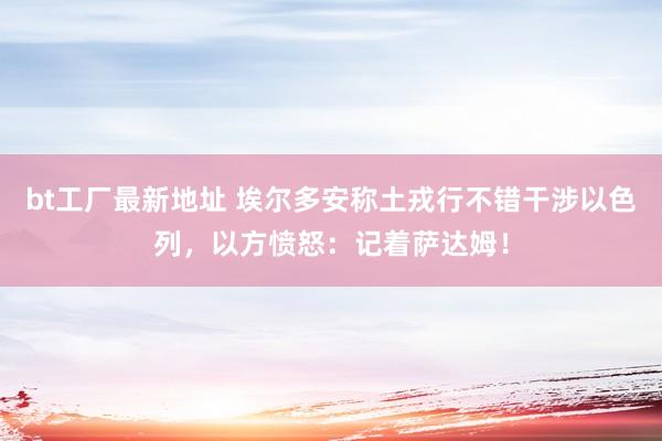 bt工厂最新地址 埃尔多安称土戎行不错干涉以色列，以方愤怒：记着萨达姆！