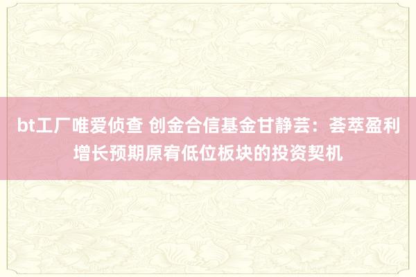 bt工厂唯爱侦查 创金合信基金甘静芸：荟萃盈利增长预期原宥低位板块的投资契机