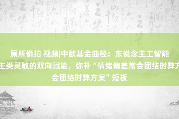 厕所偷拍 视频|中欧基金曲径：东说念主工智能和东说念主类灵敏的双向赋能，弥补“情绪偏差常会团结时弊方案”短板