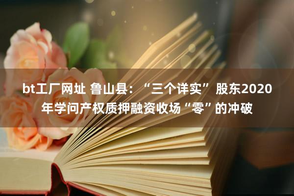 bt工厂网址 鲁山县：“三个详实” 股东2020年学问产权质押融资收场“零”的冲破