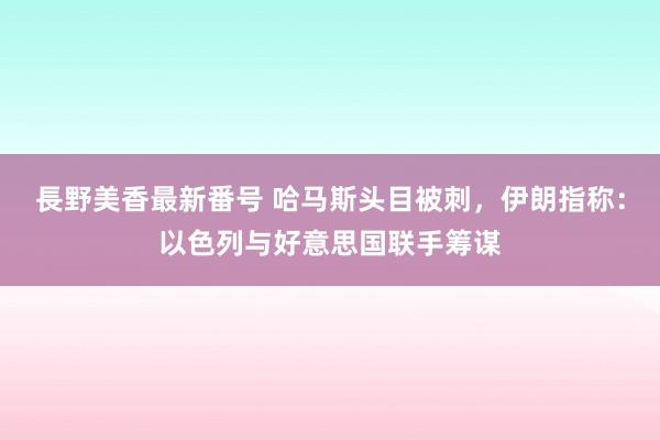 長野美香最新番号 哈马斯头目被刺，伊朗指称：以色列与好意思国联手筹谋