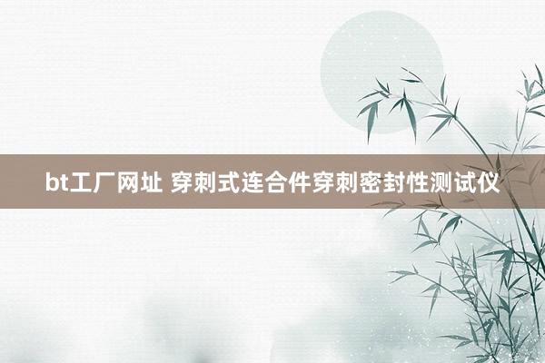 bt工厂网址 穿刺式连合件穿刺密封性测试仪