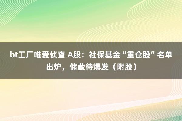 bt工厂唯爱侦查 A股：社保基金“重仓股”名单出炉，储藏待爆发（附股）