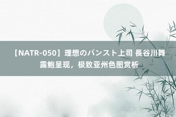 【NATR-050】理想のパンスト上司 長谷川舞 露鲍呈现，极致亚州色图赏析