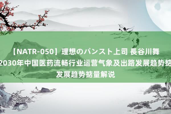 【NATR-050】理想のパンスト上司 長谷川舞 2024-2030年中国医药流畅行业运营气象及出路发展趋势掂量解说