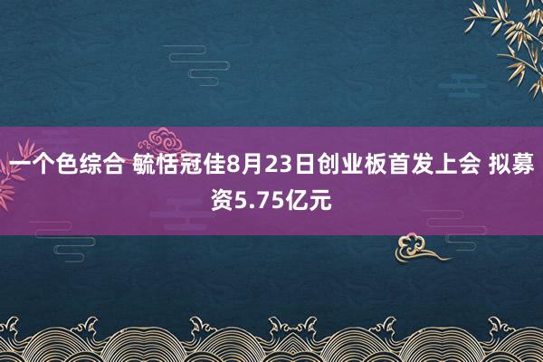 一个色综合 毓恬冠佳8月23日创业板首发上会 拟募资5.75亿元