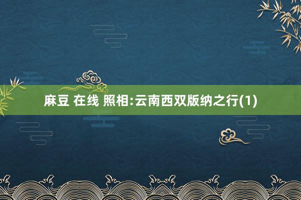 麻豆 在线 照相:云南西双版纳之行(1)