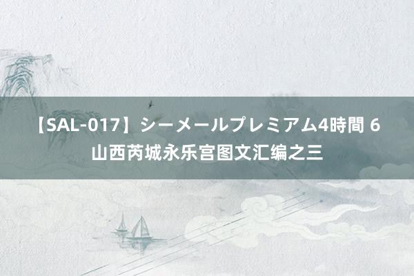 【SAL-017】シーメールプレミアム4時間 6 山西芮城永乐宫图文汇编之三