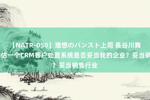 【NATR-050】理想のパンスト上司 長谷川舞 何如评估一个CRM客户处置系统是否妥当我的企业？妥当销售行业