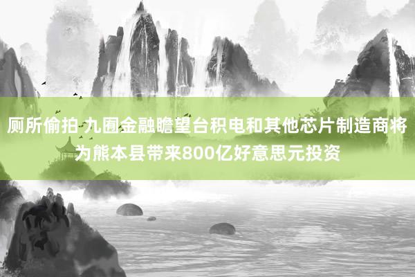 厕所偷拍 九囿金融瞻望台积电和其他芯片制造商将为熊本县带来800亿好意思元投资