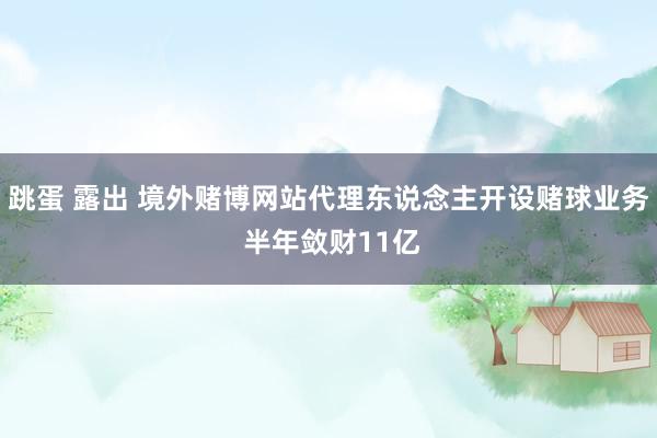 跳蛋 露出 境外赌博网站代理东说念主开设赌球业务 半年敛财11亿