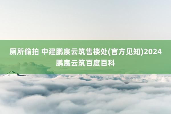 厕所偷拍 中建鹏宸云筑售楼处(官方见知)2024鹏宸云筑百度百科