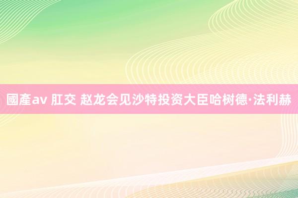 國產av 肛交 赵龙会见沙特投资大臣哈树德·法利赫